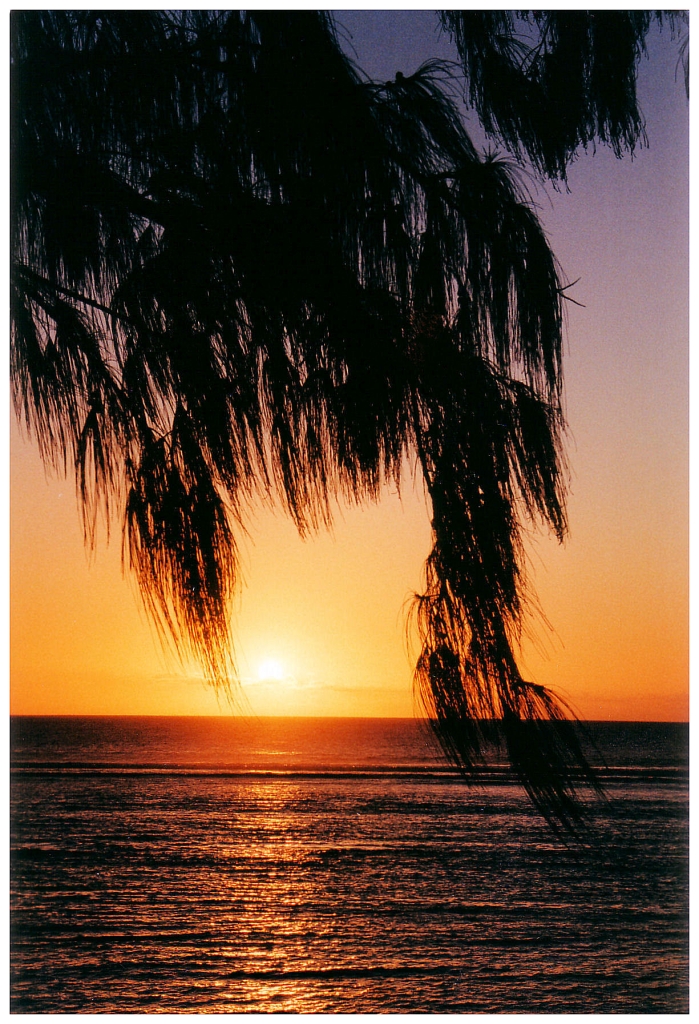 01 - Ile De La Réunion (18).jpg